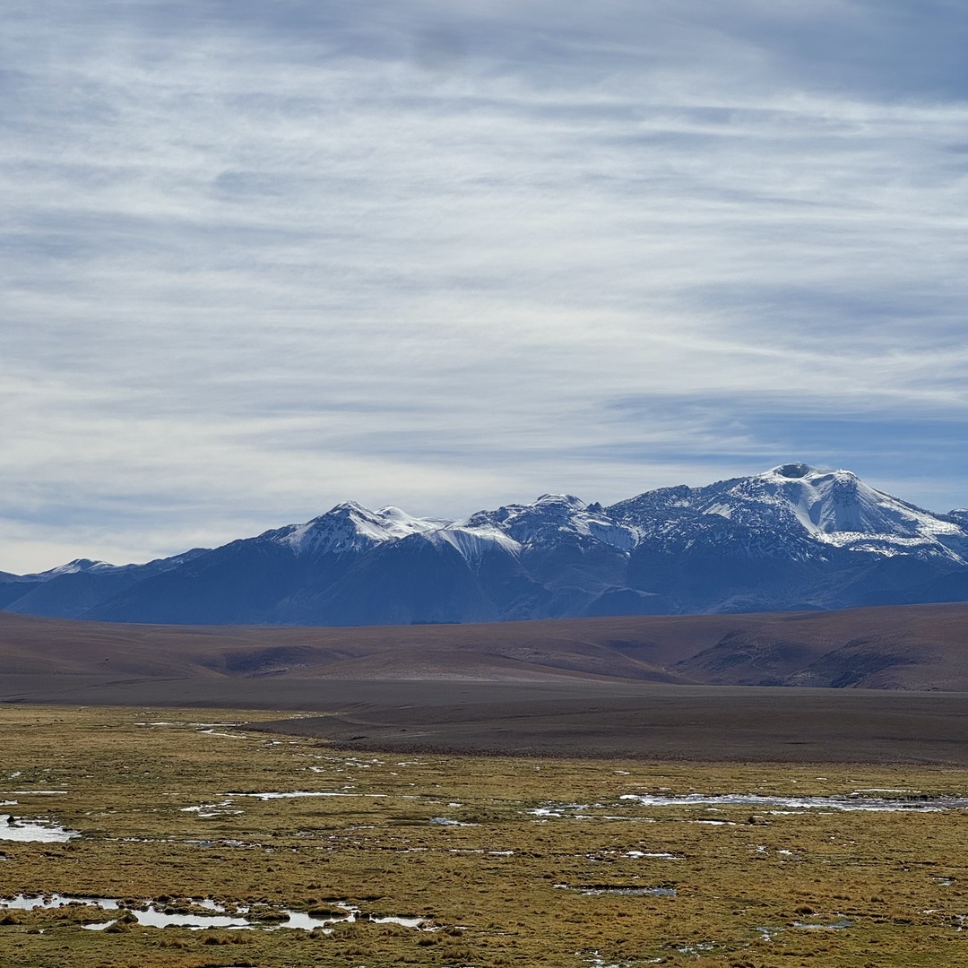 Wetlands and snow-dusted mountains on our El Tatio excursion