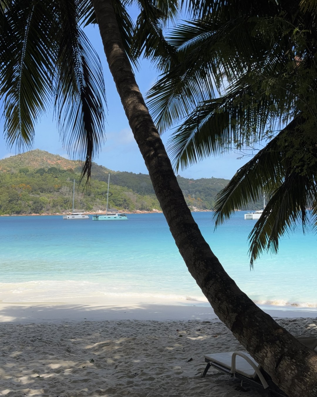 A palm tree arcing over the turquoise water of Anse Lazio on Praslin, Seychelles, with catamarans anchored offshore
