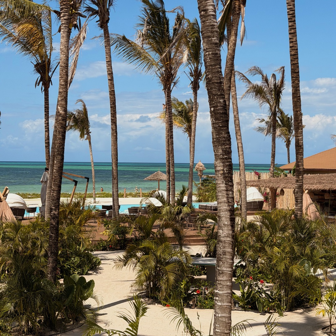 Palm trees, a swimming pool and the ocean at ENVI Paje in Zanzibar
